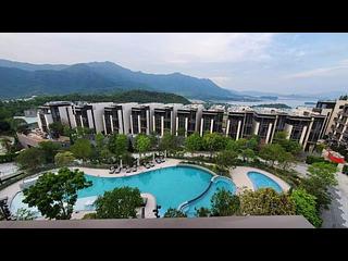 大埔 - 林海山城 12