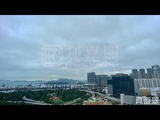 油麻地 - 御金・國峯1座 15
