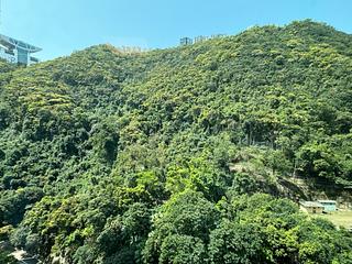 中半山 - 曉峰閣1座 04