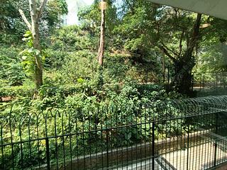Mid Levels Central - Pine Court 13