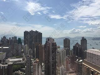 Sai Ying Pun - The Babington 12