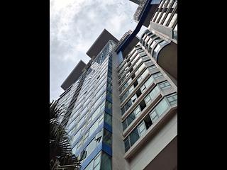 Discovery Bay - Discovery Bay Phase 10 Neo Horizon 16