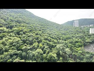 司徒拔道 - 怡园 05