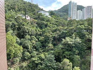 湾仔 - 皇朝阁 11