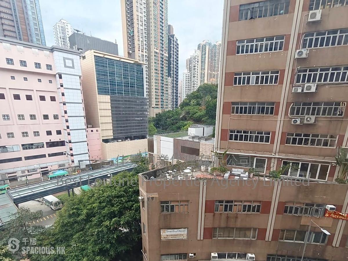 坚尼地城 - 嘉辉花园 01