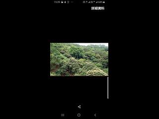 天后 - 飛龍台 09