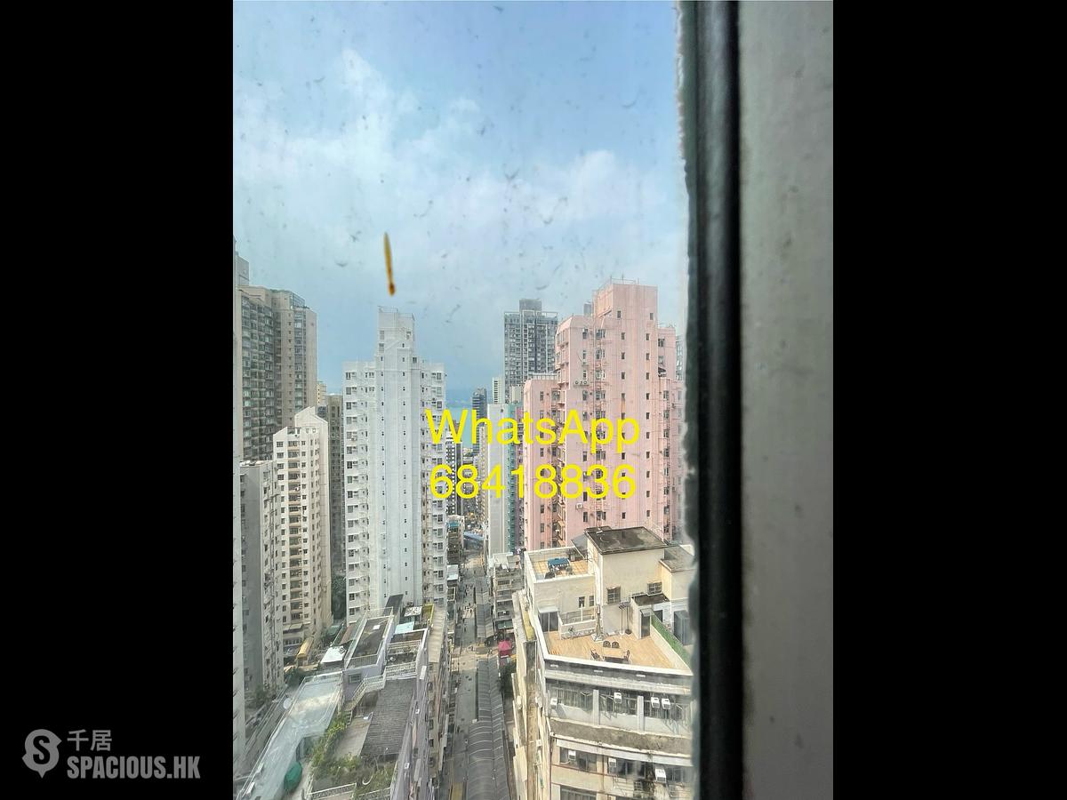 西营盘 - 金凤阁 01