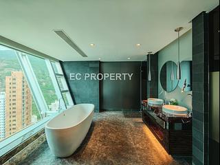 Repulse Bay - The Lily 15