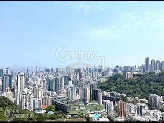 司徒拔道 - 蔚豪苑 02