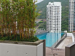 浅水湾 - The Cove 27
