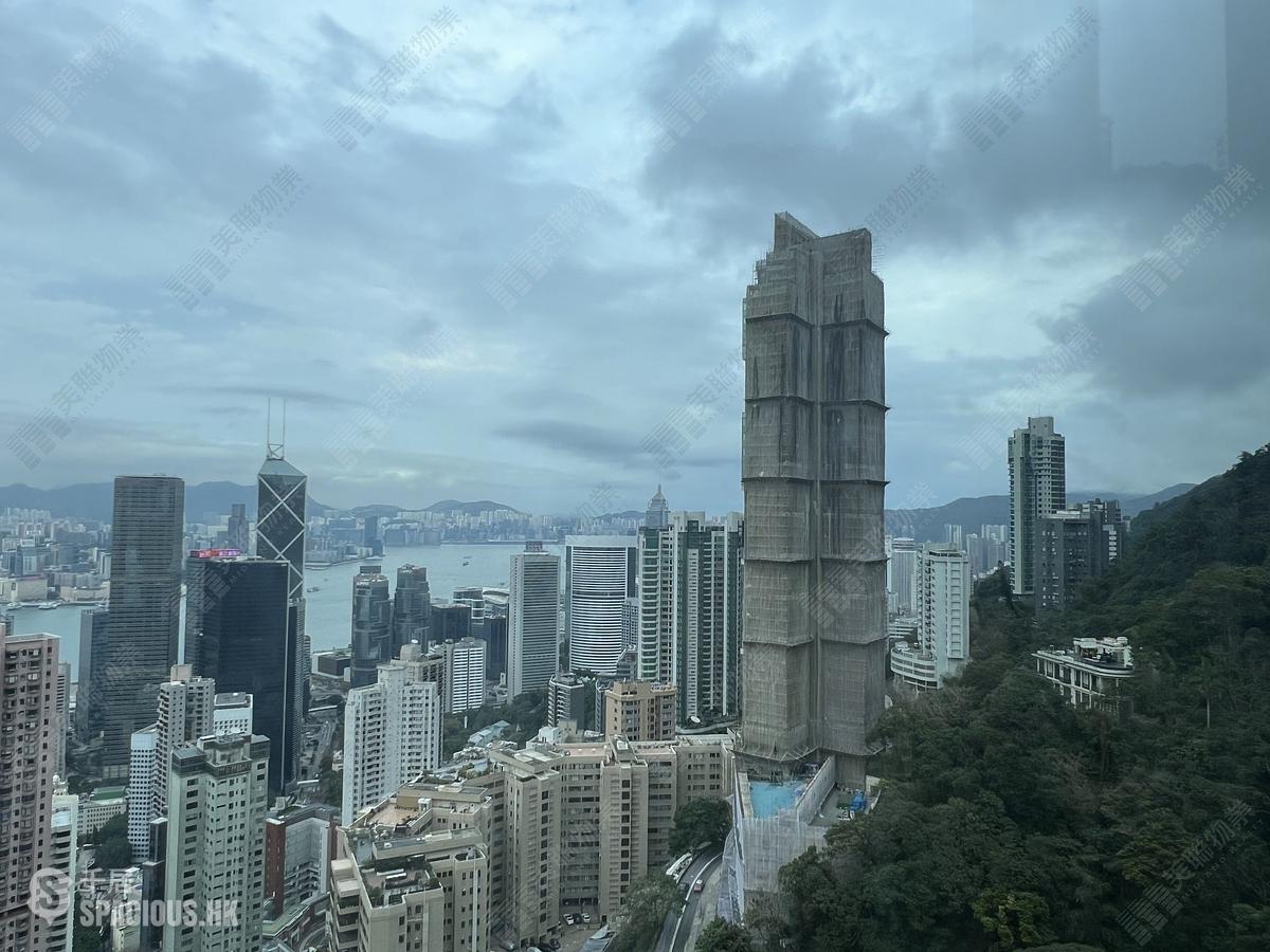 中半山 - 世纪大厦2座 01