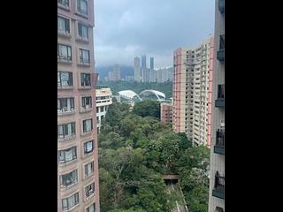 Tai Hang - The Warren 09