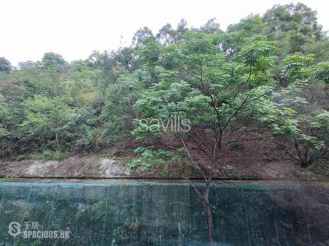 Sha Tin - La Vetta 04