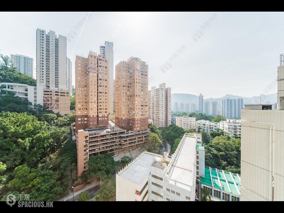大坑 - 龙园 01