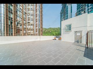 大坑 - 龙园 02