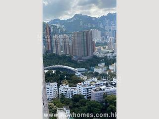 Tai Hang - The Legend 06