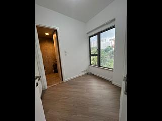 North Point - Lime Habitat 07