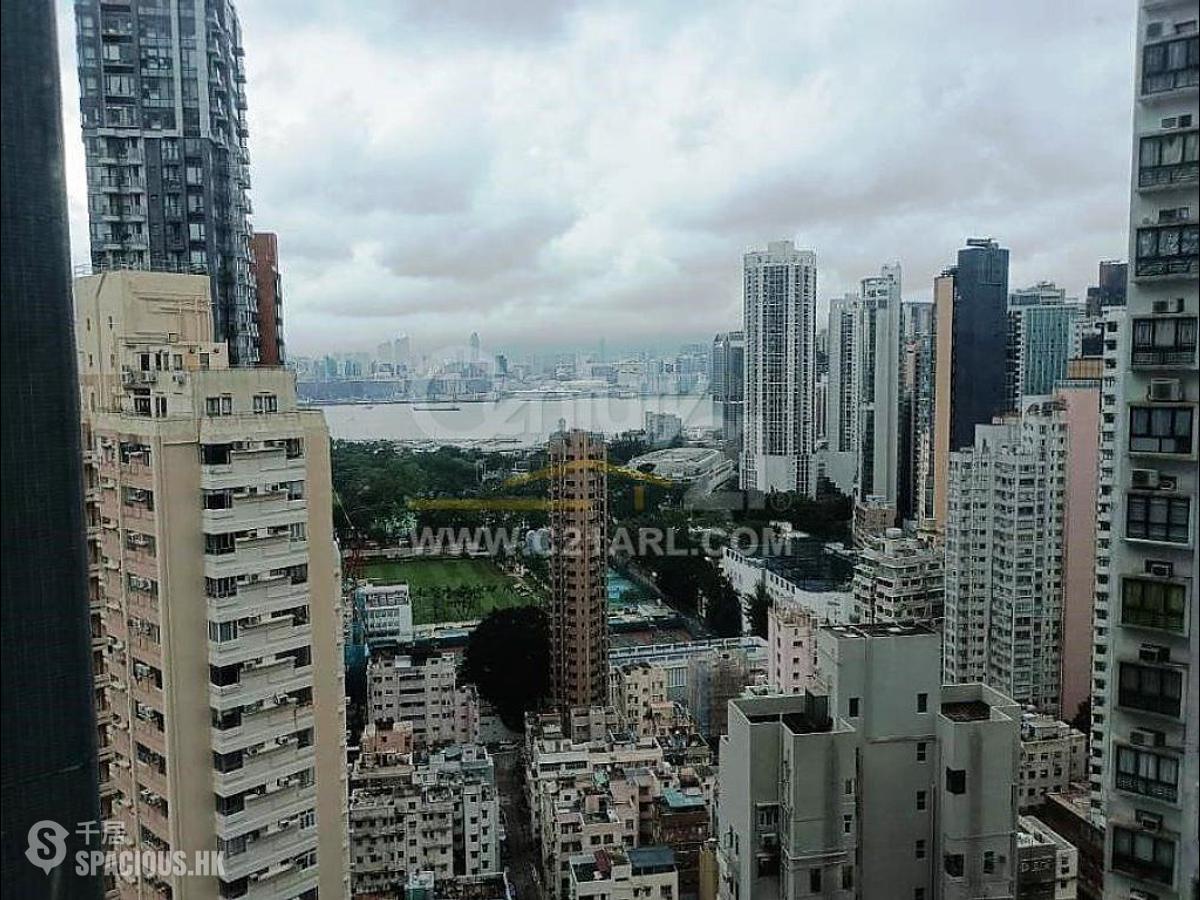 Tai Hang - Y.I 01