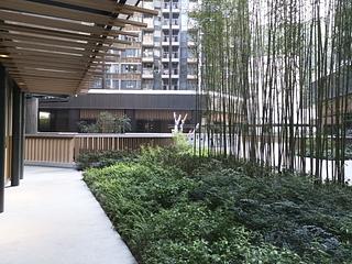 北角 - 柏蔚山 04