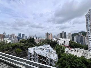 大坑 - 瑞士花园 03