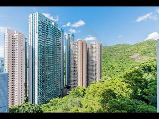 Tai Hang - Flora Garden 06
