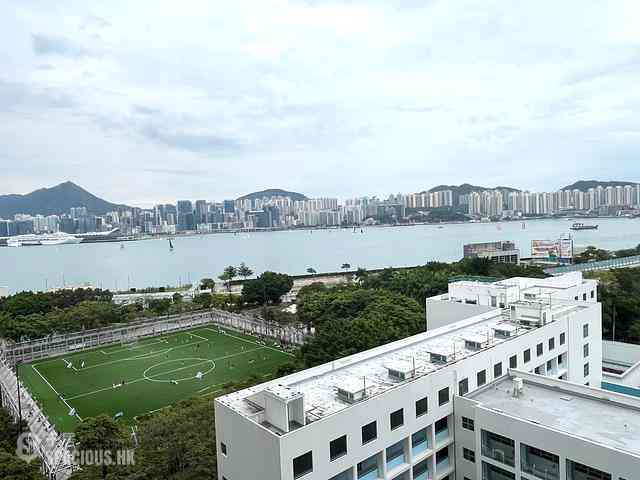 鲗鱼涌 - 英丽阁C座 01