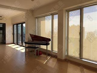 Sai Ying Pun - The Babington 11
