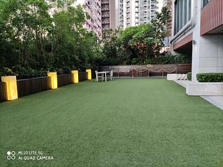 Sai Ying Pun - The Summa 02