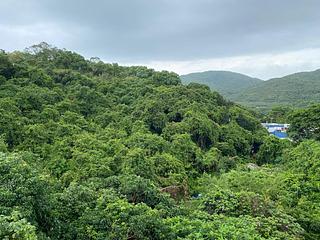 South Lantau - Shui Hau Village 13