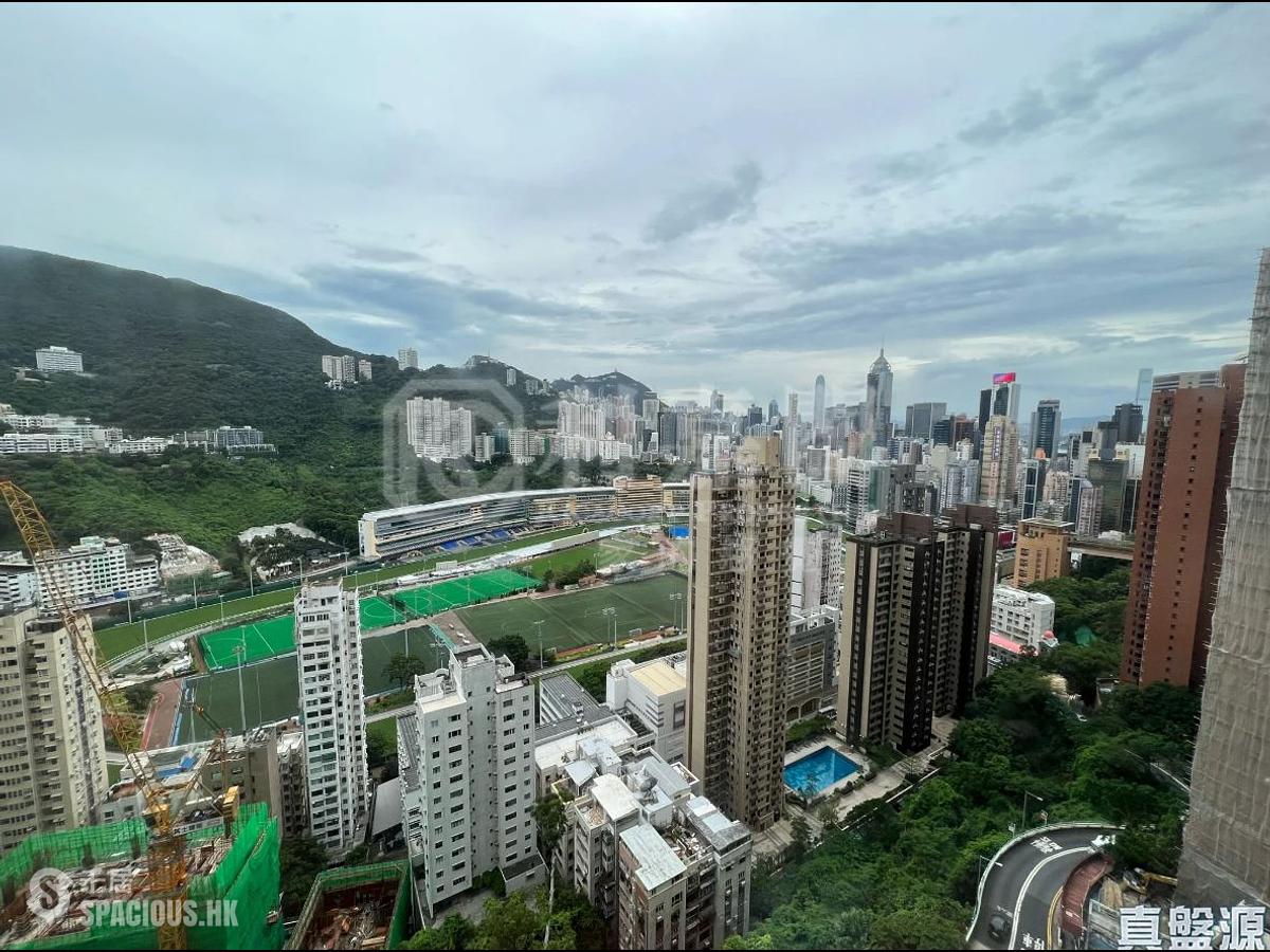 跑马地 - 乐翠台B座 01