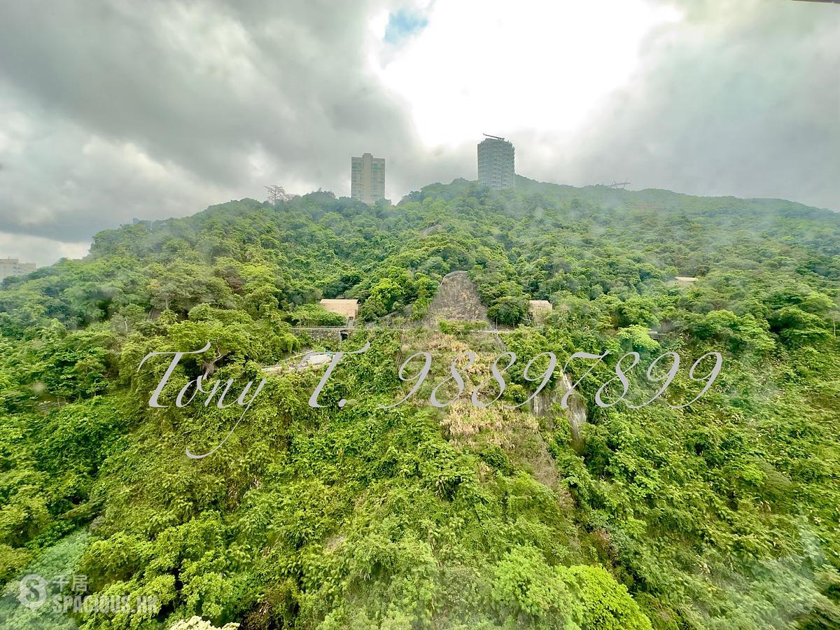 東半山 - 慧景臺B座 01