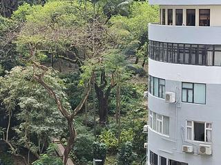 Sai Ying Pun - Ka Fu Building 04
