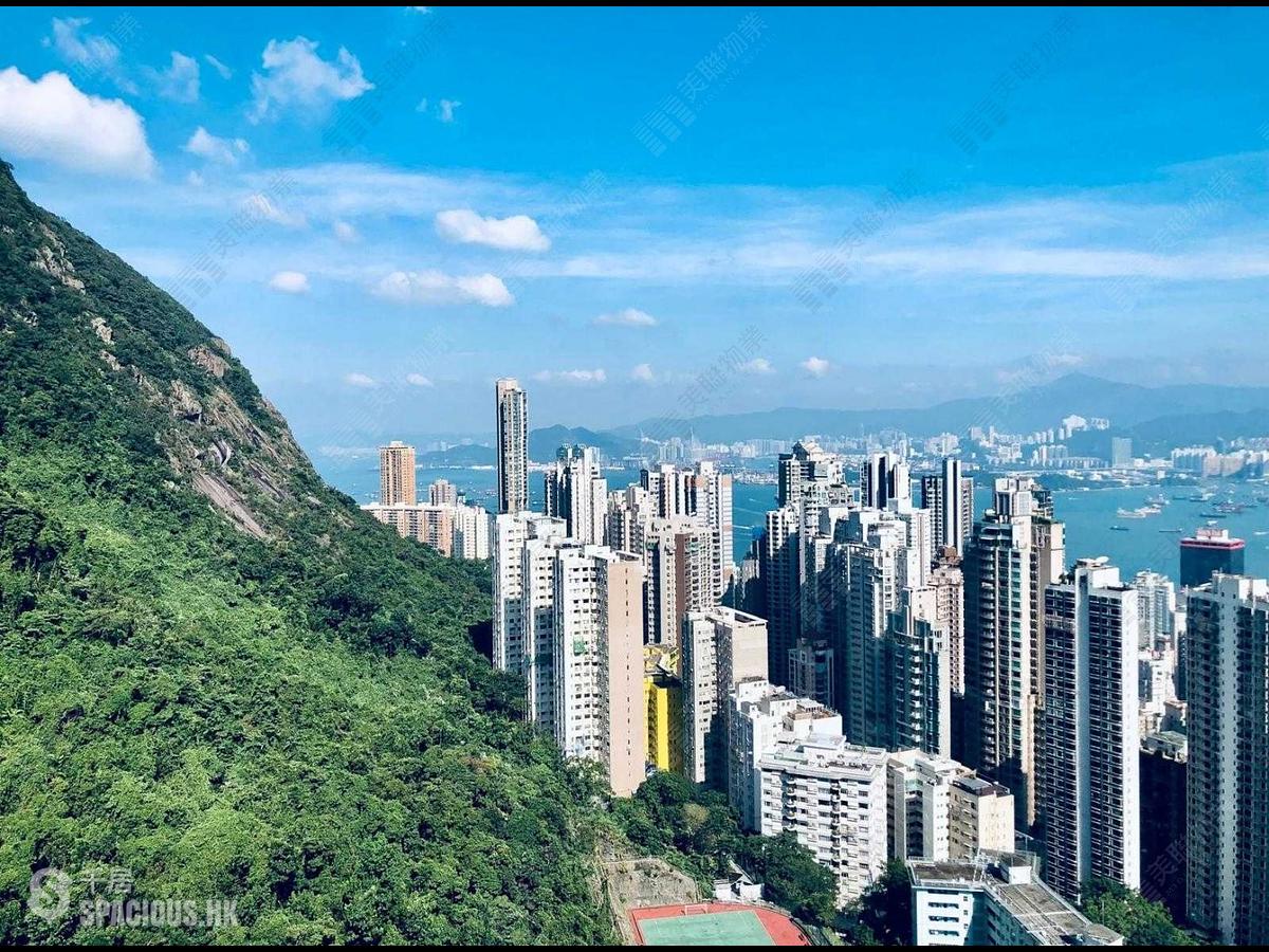 中半山 - 曉峰閣4座 01