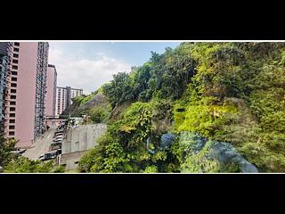 Tai Hang - Serenade 14