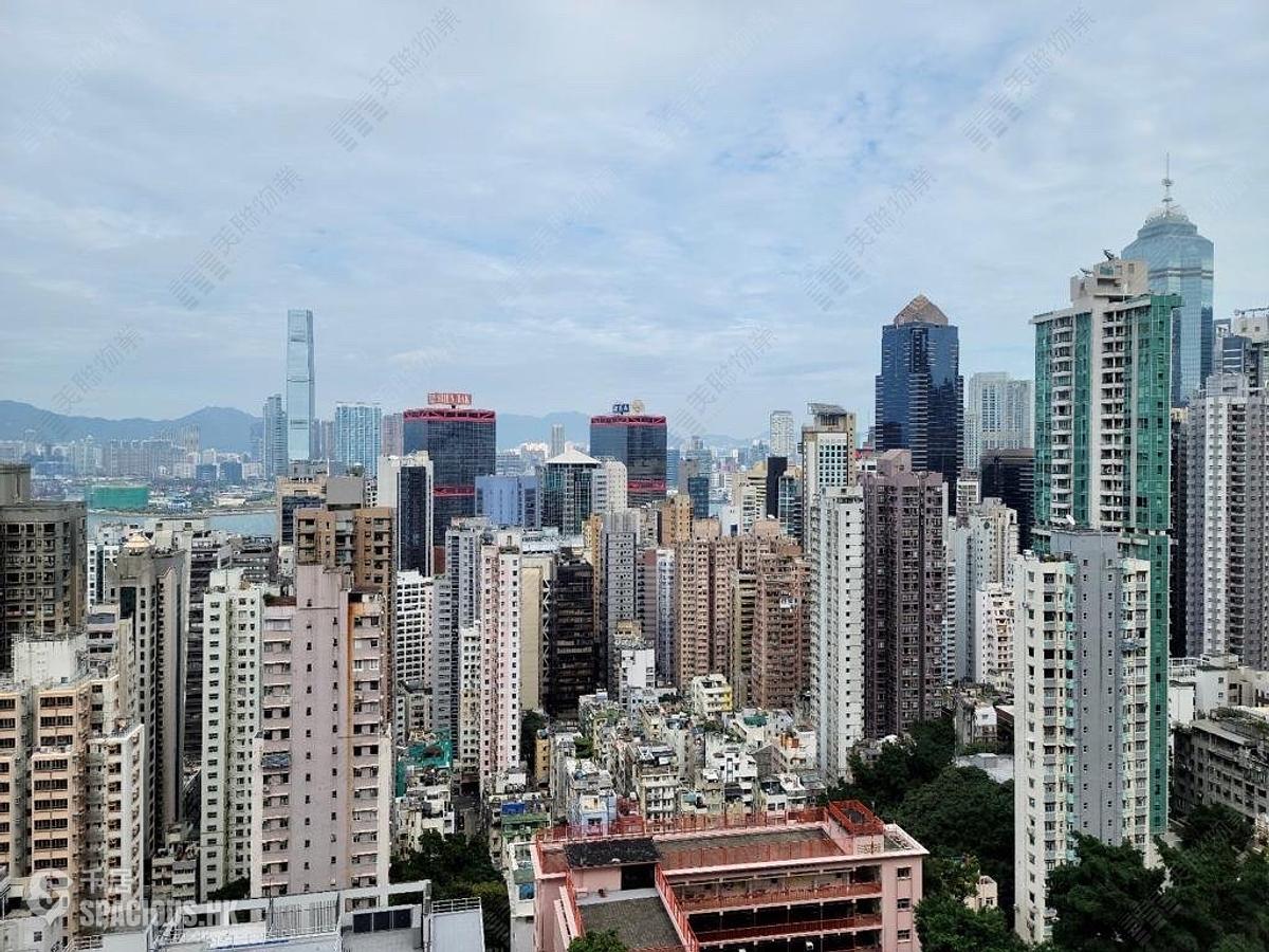西半山 - 罗便臣道80号1座 01