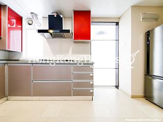 Chung Hom Kok - Hillgrove 11