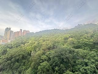 天后 - 柏傲山 06