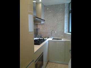 North Point - Lime Habitat 05
