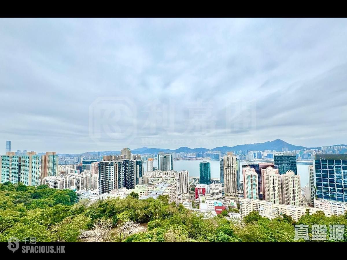 宝马山 - 琼峰园 01