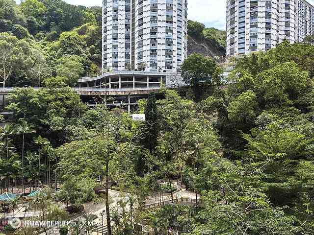 Tai Hang - The Jolly House 04