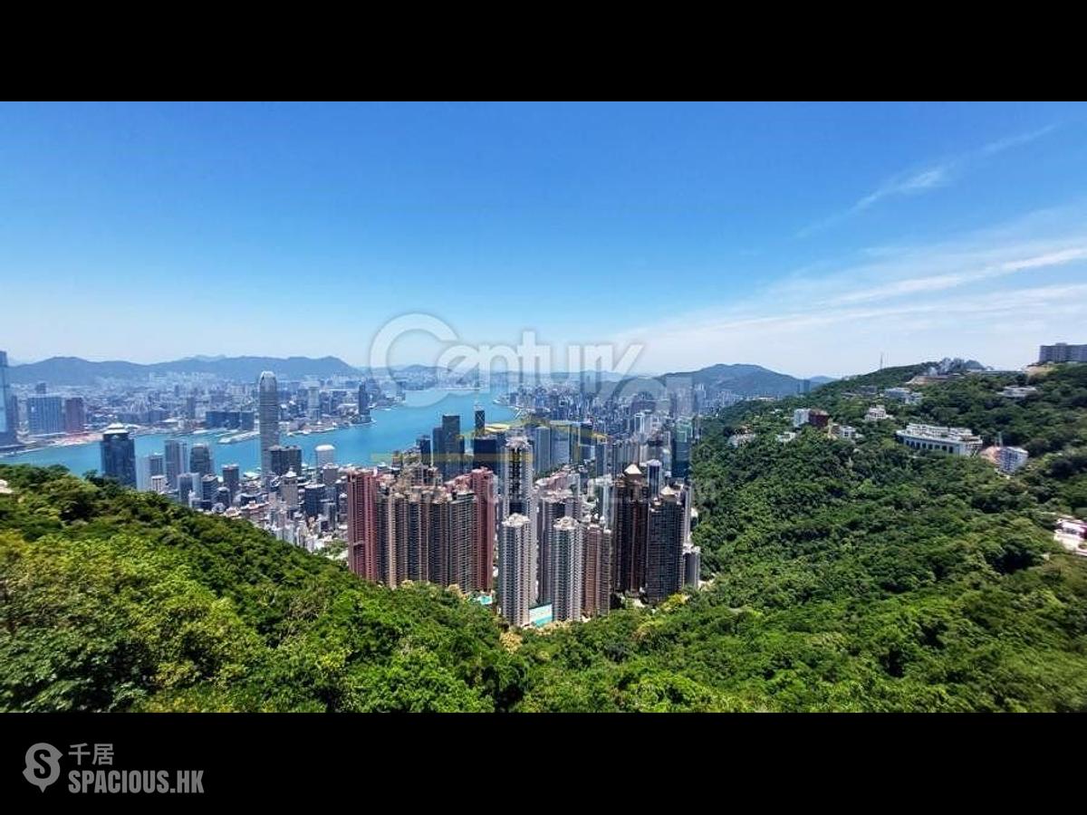 山頂 - The Mount Austin 01