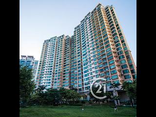 Discovery Bay - Discovery Bay Phase 12 Siena Two Celestial Mansion 09
