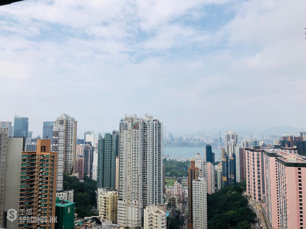 Tai Hang - The Legend 01