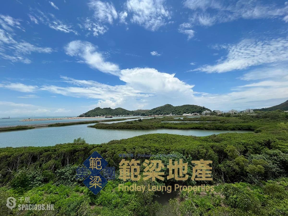 Tai O - Tai O Village 01