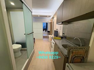 Poho - Hollywood Building 02
