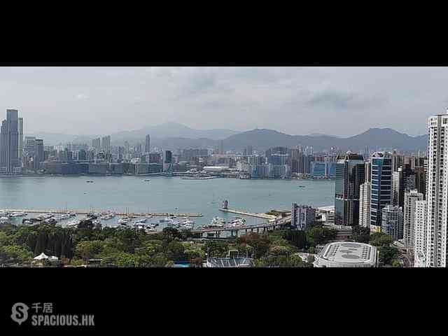 Causeway Bay - Jones Hive 01