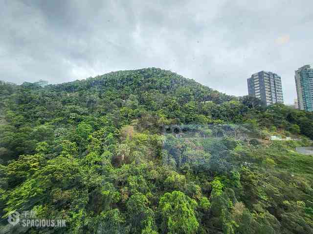 中半山 - 21 Borrett Road 1期 08