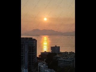 Pok Fu Lam - Royalton 04