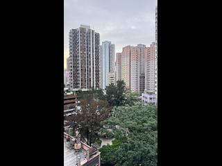 Shau Kei Wan - Oria 06