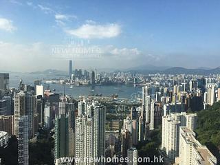 Tai Hang - The Legend 02